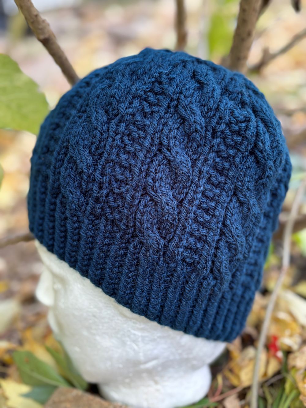 Cabled Beanie